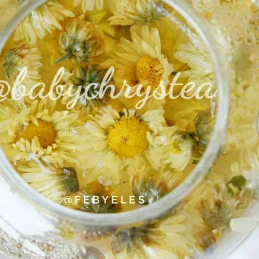 

☉ Chrysanthemum Tea ♞