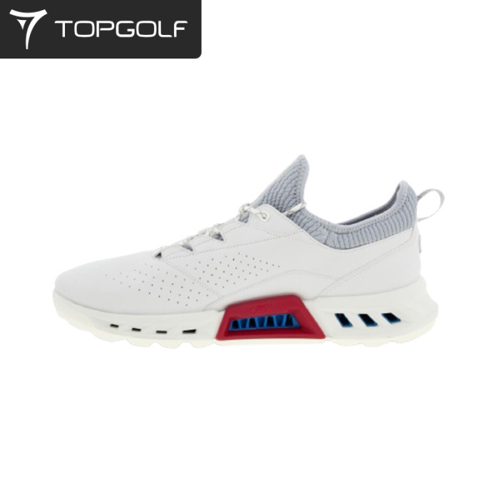 Shoes Ecco Golf Biom C4 Men'S 130404 Wht/Concrete Dritton