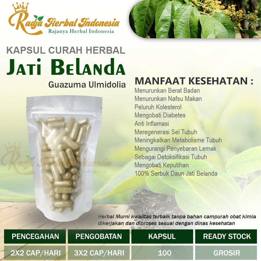 JATI BELANDA 100 Kapsul Curah Herbal Pelangsing Keputihan Detoks Diare