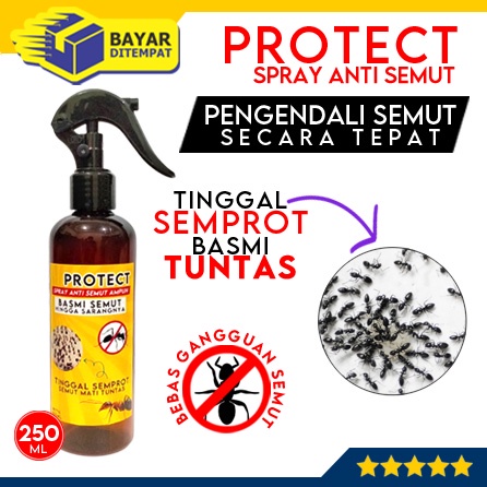 PROTECT Spray Anti Rayap Pembasmi Basmi Sprai Obat Semprot 250ml