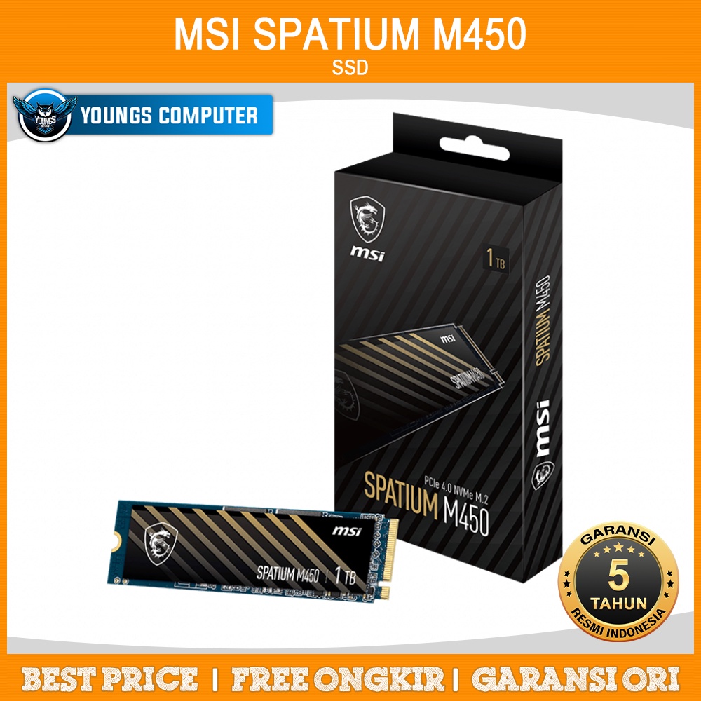 SSD MSI SPATIUM M450 (500GB / 1TB) - PCIe 4.0 | SSD M.2 NVMe Gen4 x4