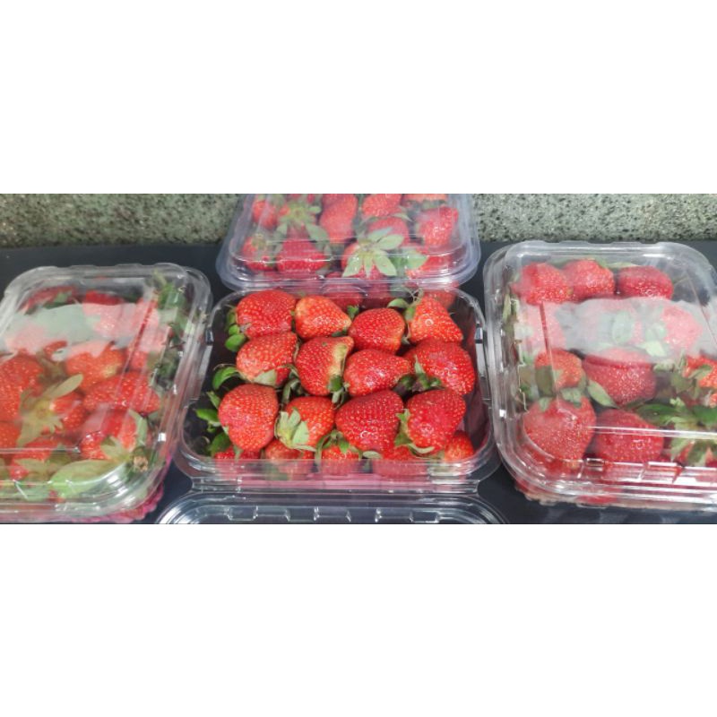 

Strawberry Ciwidey kemasan 500 gram