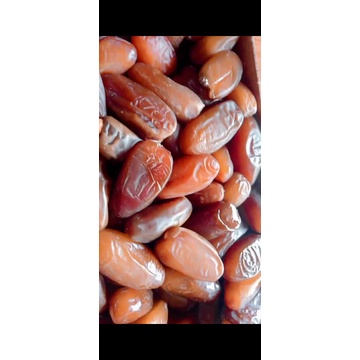 

kurma rutob libiya