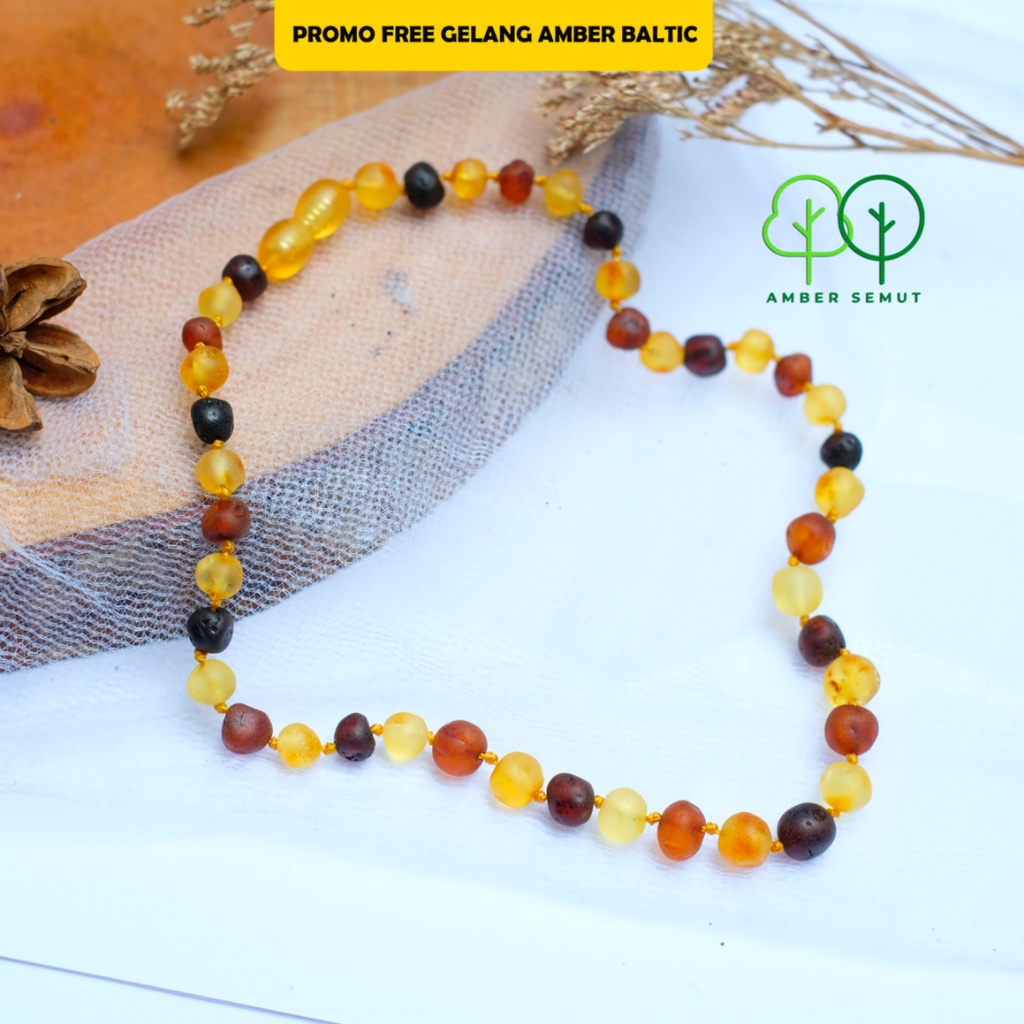 Kalung Amber Baltic Big Multicolor Matte [New Born-Junior]