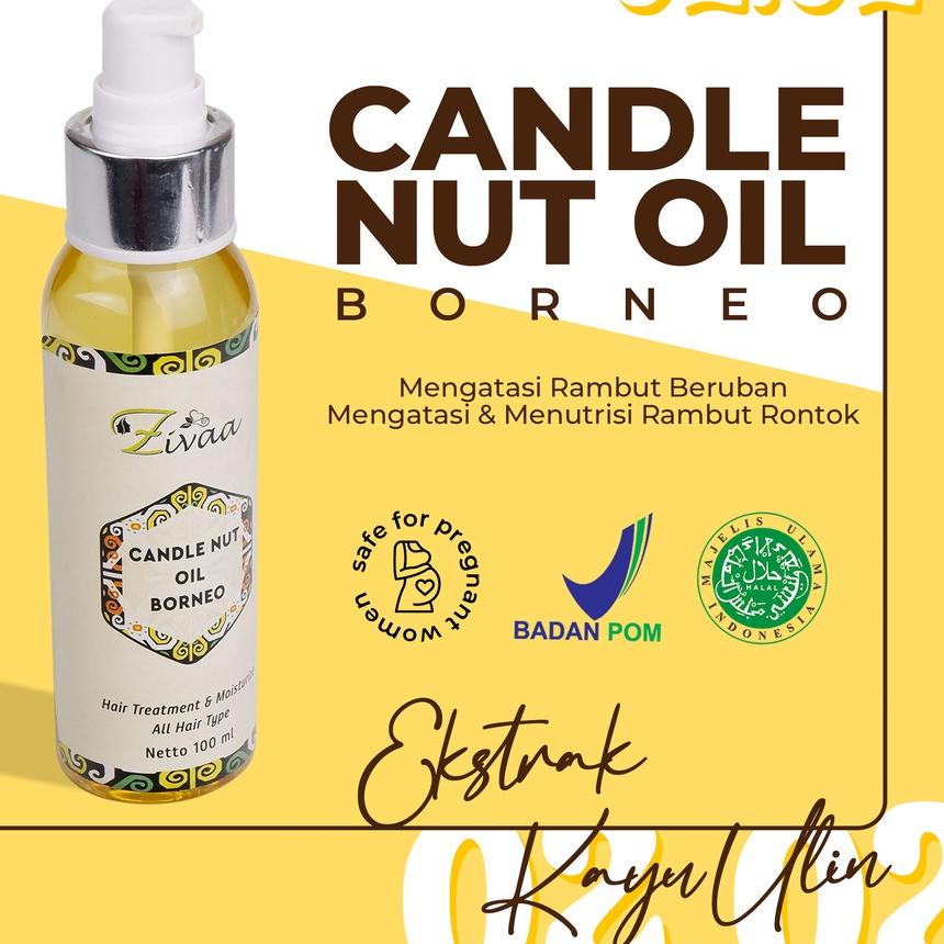 ➹ ZIVAA CANDLE NUT OIL BORNEO PENGHILANG UBAN/ANTI UBAN/PENGHITAM RAMBUT UBAN PERMANEN ☝