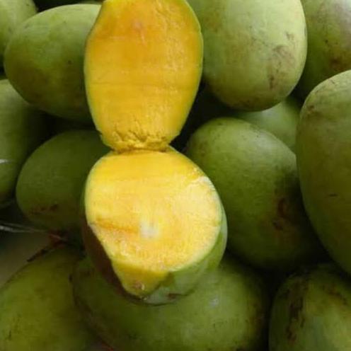 

☺ Mangga Kweni 1 Kg Segar Fresh ☎