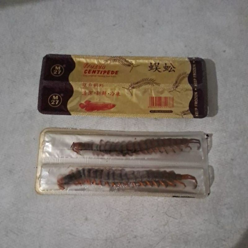 KELABANG BEKU - FROZEN CENTIPEDE PAKAN IKAN PREDATOR ARWANA ISI 2 PCS