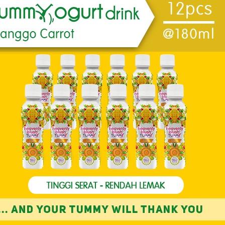 

Makin larisF0r5Q Yogurt Heavenly Blush Tummy Drink Mango Carrot [12 x 180 ml]