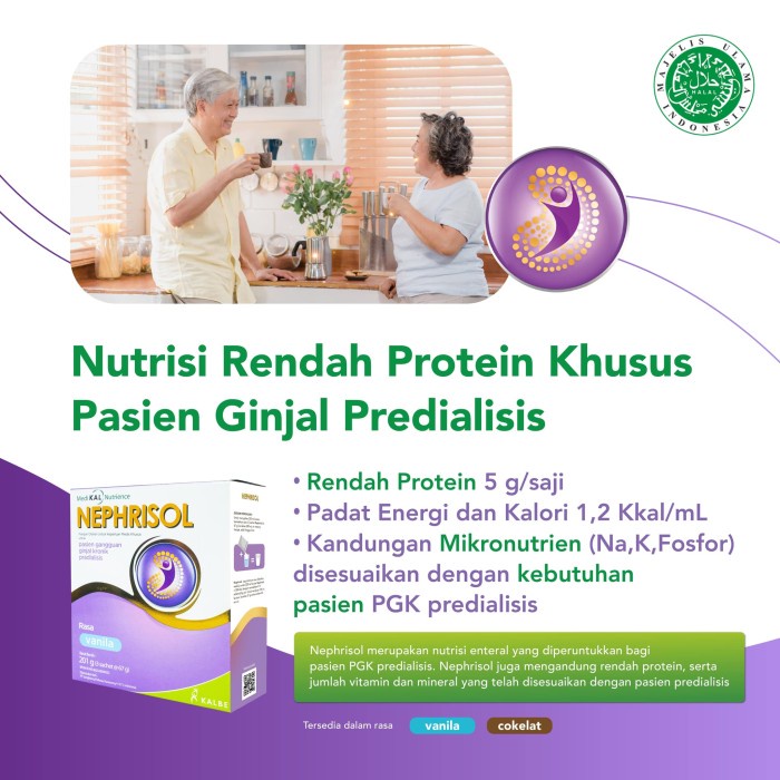 

Nephrisol 201 Gram - Nutrisi Rendah Protein Ginjal Kronik