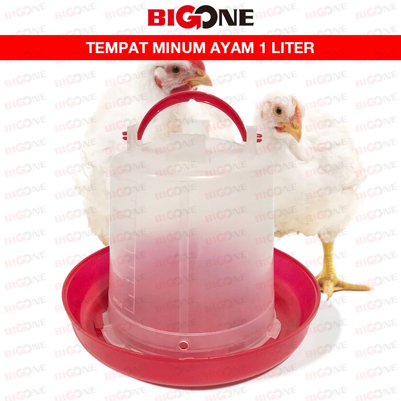 Tempat Minum Ayam manual 1 Liter / Chicken Drinking / Doc