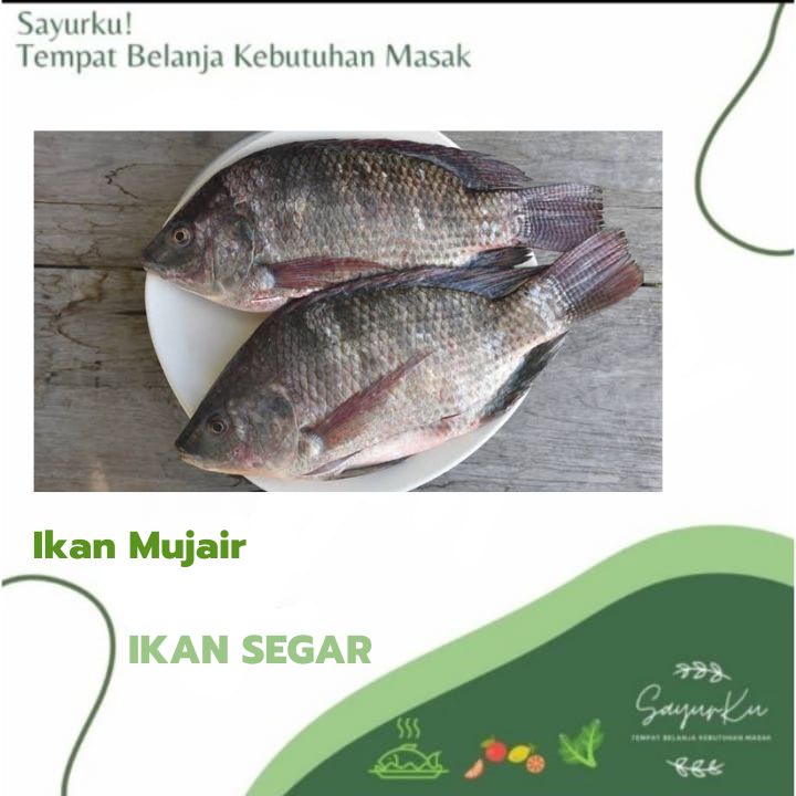 

ikan mujair fresh