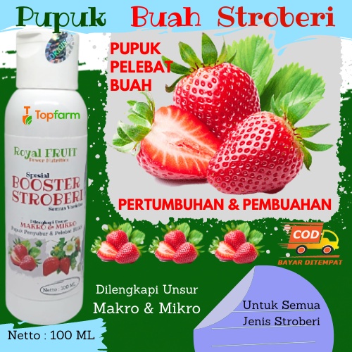 Pupuk Stroberi Berbuah Lebat / Pupuk Tanaman Stroberi / Pupuk Strawberry / Pupuk Untuk Buah Strawber