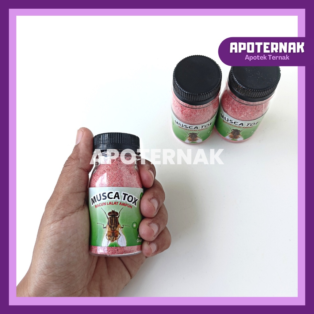 Musca Tox 40 gr | Obat Pembasmi Lalat | Racun Lalat Ampuh | Ekonomis