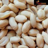 

KACANG KUPAS ASLI TUBAN 1 KG CAP TERATAI SUPER CAP APEL KACANG TANAH KUPAS KUALITAS SUPER TOKO SEMBAKO BANDUNG MURAH