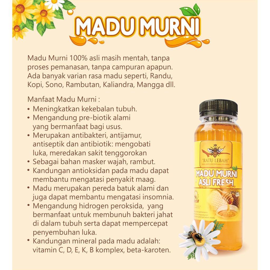 

Madu Murni Asli 150 Ml Madu Mentah Fresh Raw Honey Ratu Lebah Berkualitas Best Seller