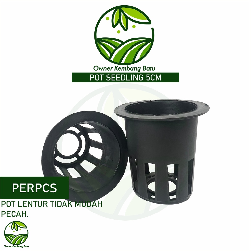 Pot Anggrek Seedling Ukuran 5cm Pot Bibit Anggrek Mirip Softpot Tanaman Anggrek