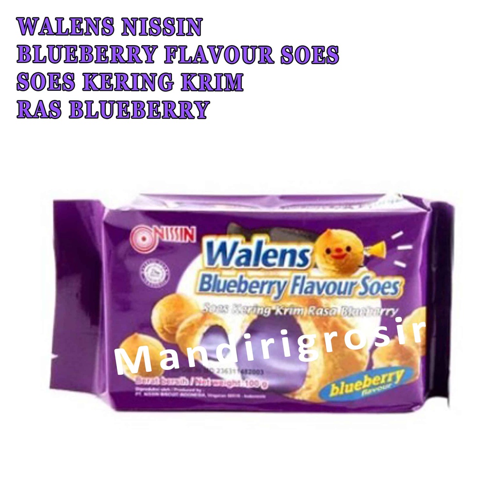 NISSIN WALENS BLUEBERRY FLAVOUR SOES 100g