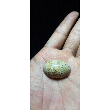 batu akik teratai lipan