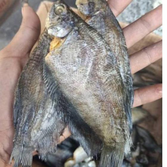 

☜ ikan asin sepat medan-500gram ✽