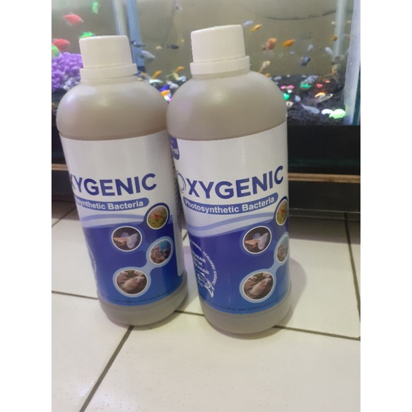 bacteria oxigenic bakteri cair 1000ml/oxygenic 1liter