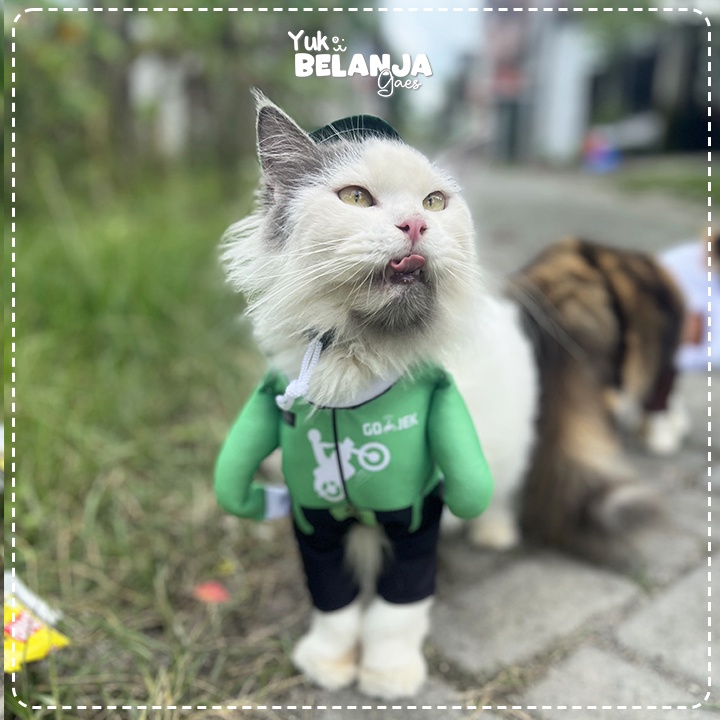 Baju Kucing Bahan Poliester Kostum Ojek Online Gojek Series Terlucu Baju Kucing anjing kelinci Lucu murah Size XS-XL / Yuk Belanja Gaes!