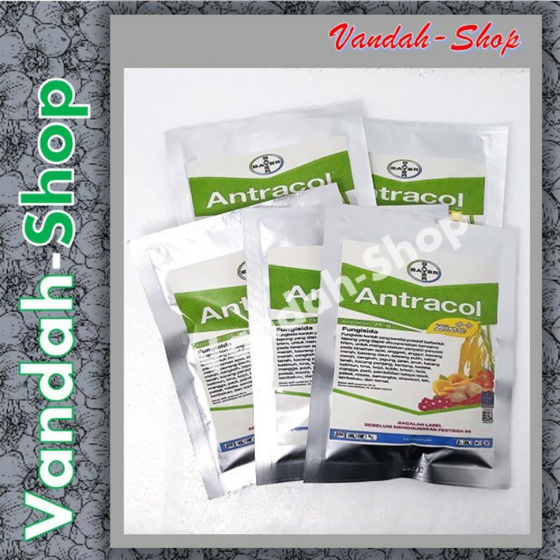 Fungisida Antracol Obat Anti Jamur Pada Tanaman - Antracol Fungisida Anti Jamur