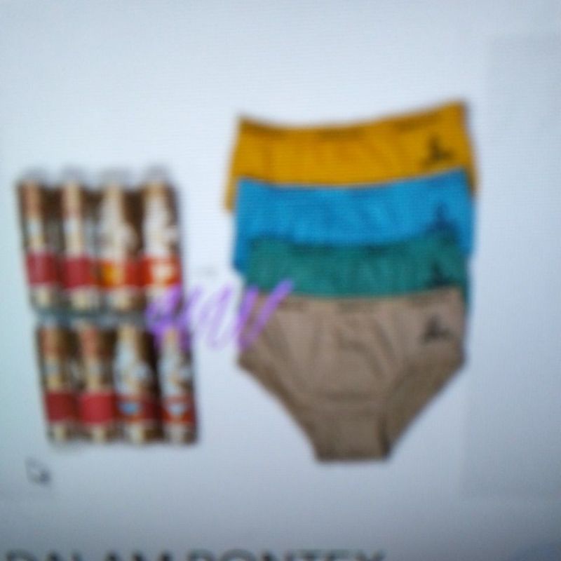 celana dalam bontex tabung/celana dalam pria