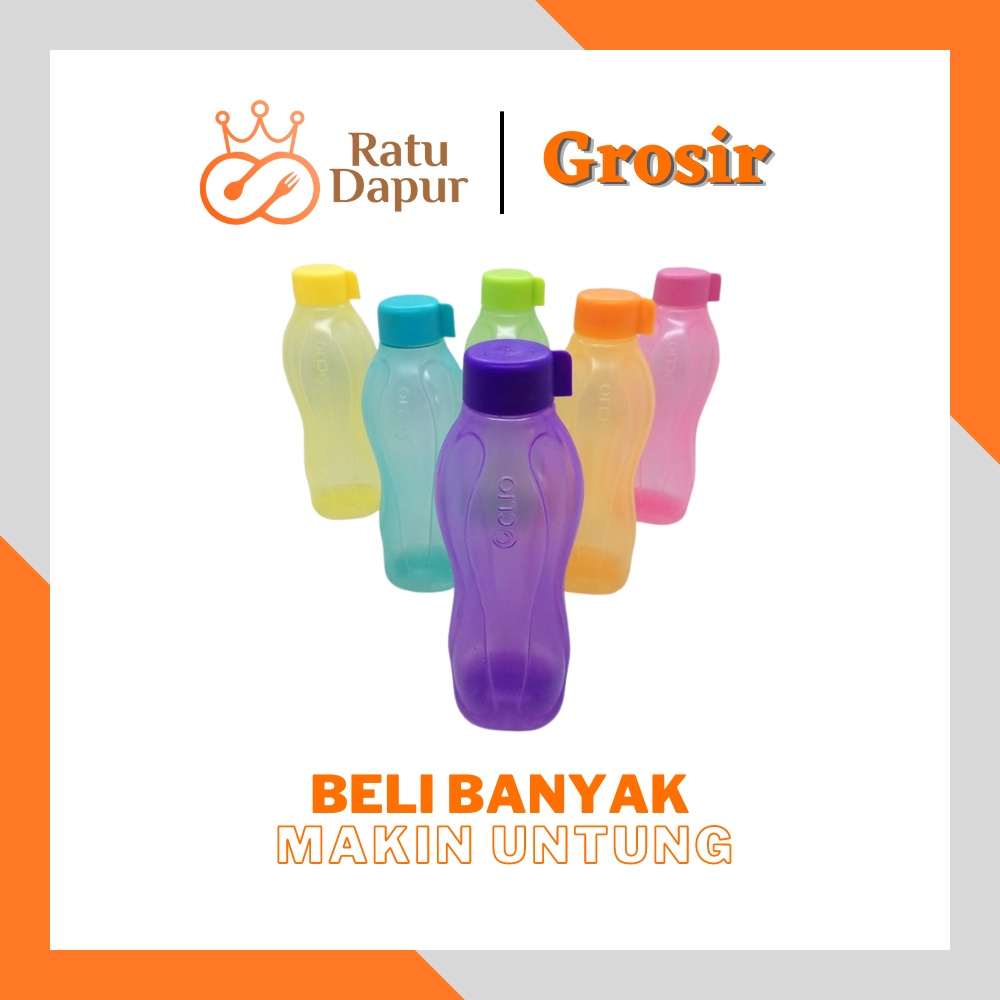 GROSIR Botol Minum Clio  Evo 500 ml Warna Warni