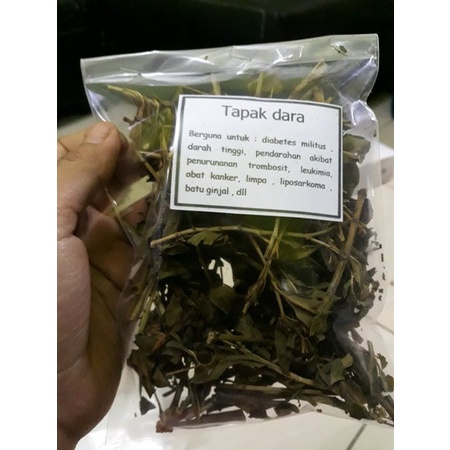 

TERBAIK JAMU DAUN TAPAK DARA KERING HERBAL-100 GRAM