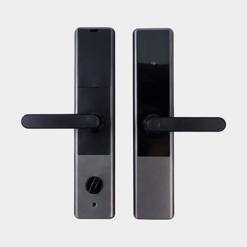 ALOEY Smart Door Lock Bluetooth Password Card TTLock - A1