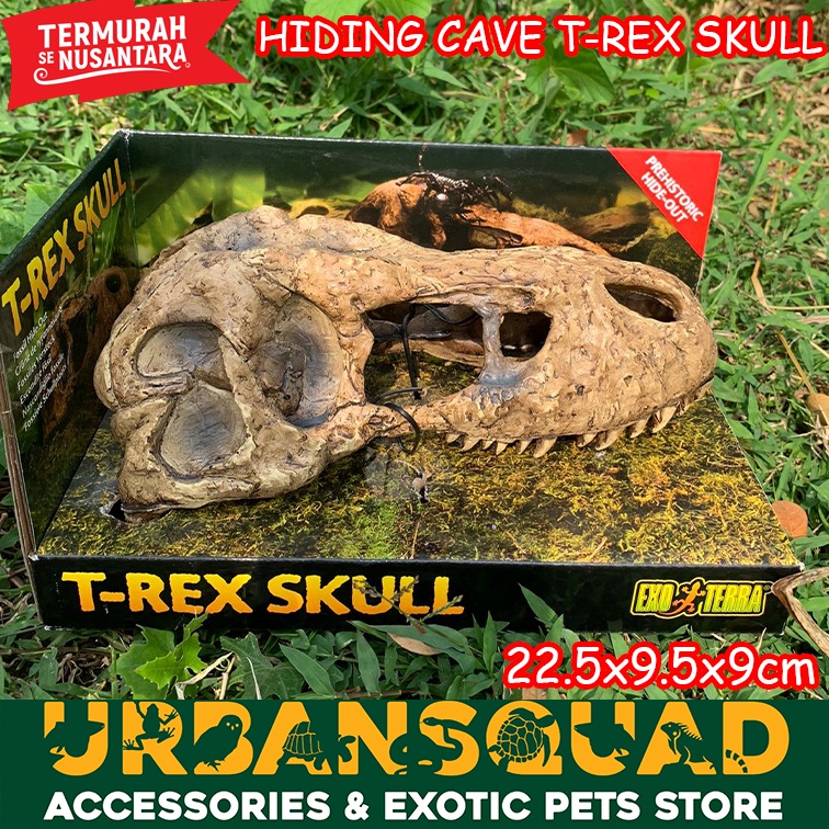 EXOTERRA T-REX SKULL HIDING CAVE LABA LABA KADAL TEGU BEARDED DRAGON
