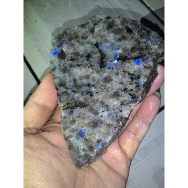 Batu Cincin NATURAL BAHAN - ROUGH BATU AKIK LABRADOR DALMATION KILAU BINTIK BIRU MANTAP PGS699