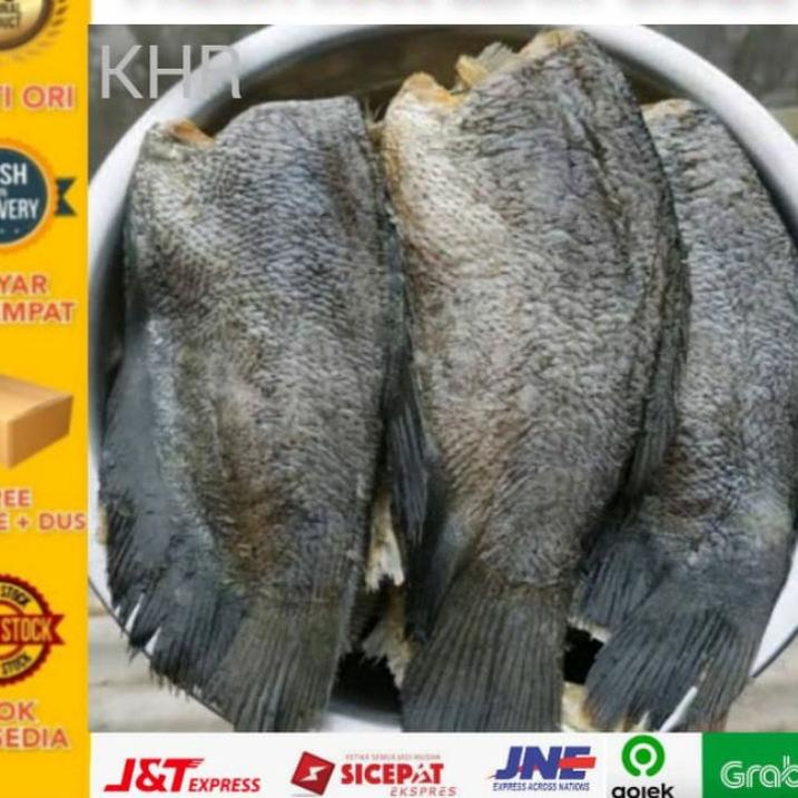 

♞ Ikan asin sepat grade super - ZHR ☝