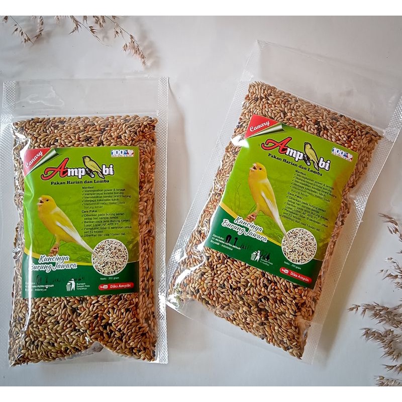 PAKAN BURUNG KENARI AMPIBI