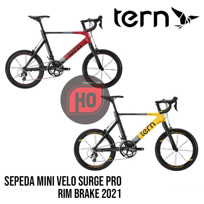 TERN SURGE PRO Mini Velo Bike Rim Brake - Sepeda Mini