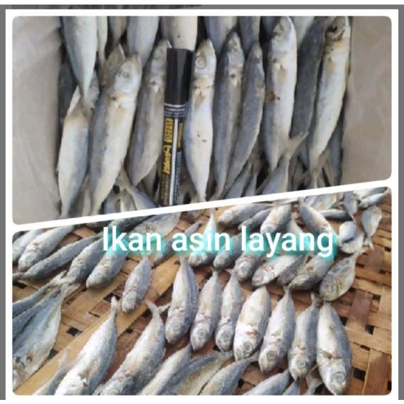 

ikan asinpeda#ikanasinlayang#ikanasinpeda putih