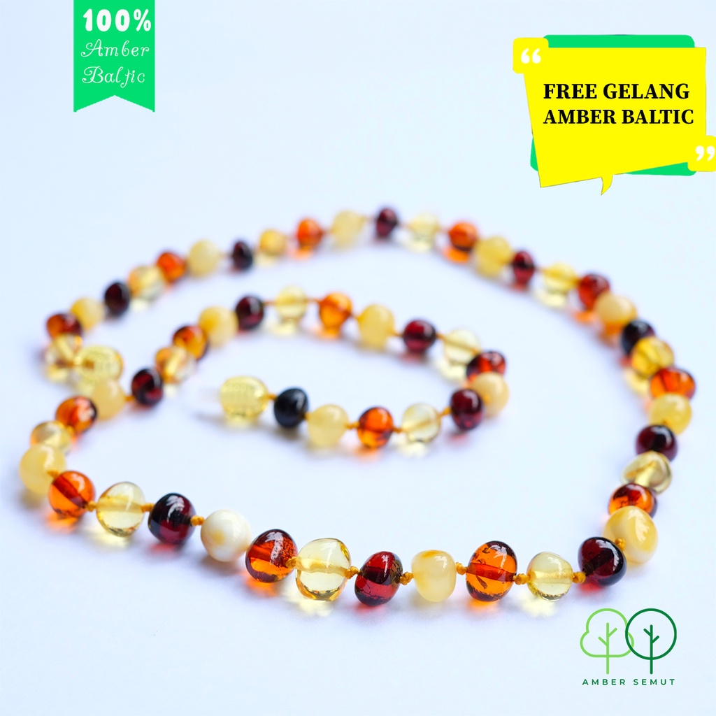 PROMO TERMURAH - Kalung Kesehatan Amber Baltic Premium Dewasa by AMBER SEMUT