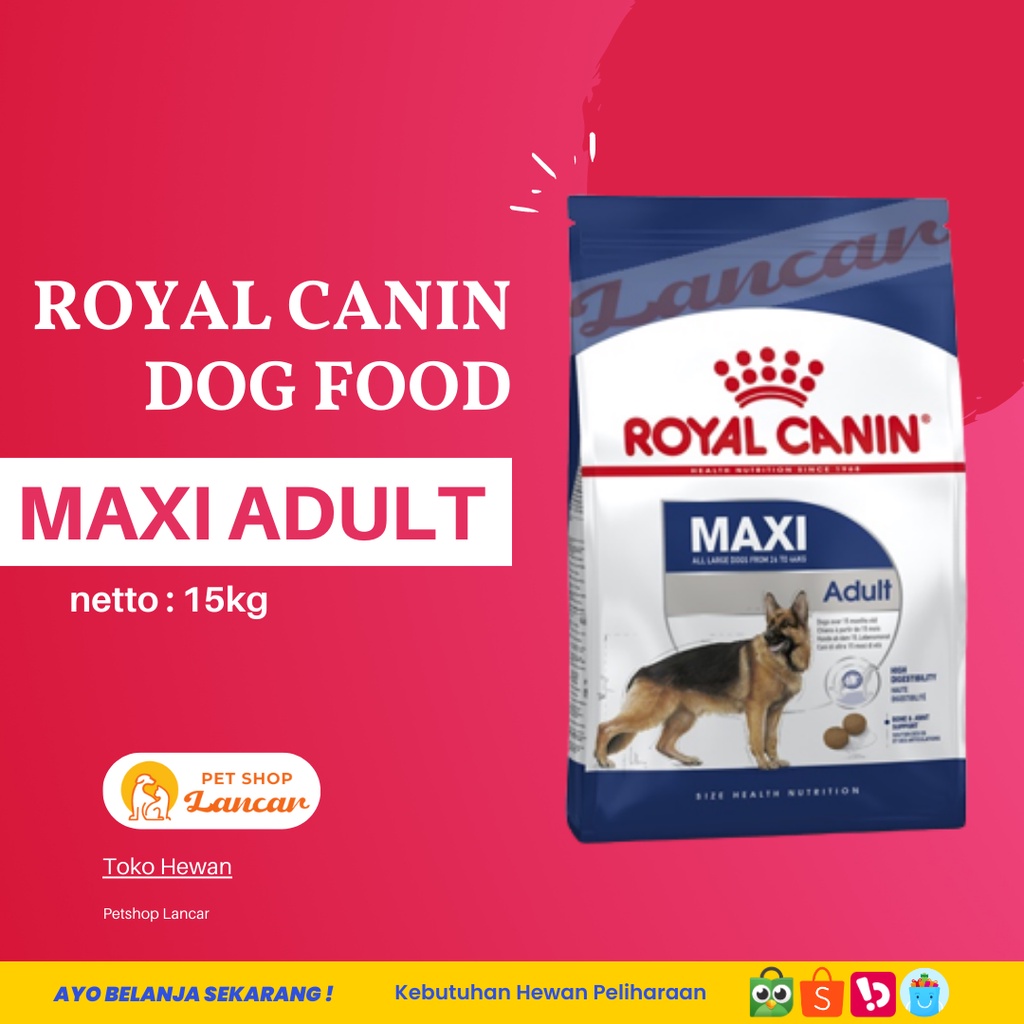 Royal Canin Maxi Adult 15kg - Promo Price