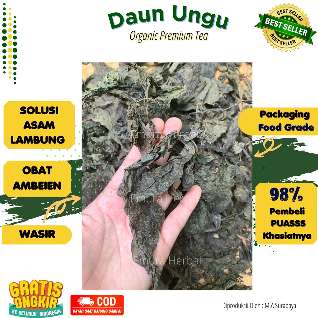 DAUN WUNGU ORI/DAUN UNGU/OBAT WASIR /OBAT LAMBUNG HERBAL /OBAT BISUL