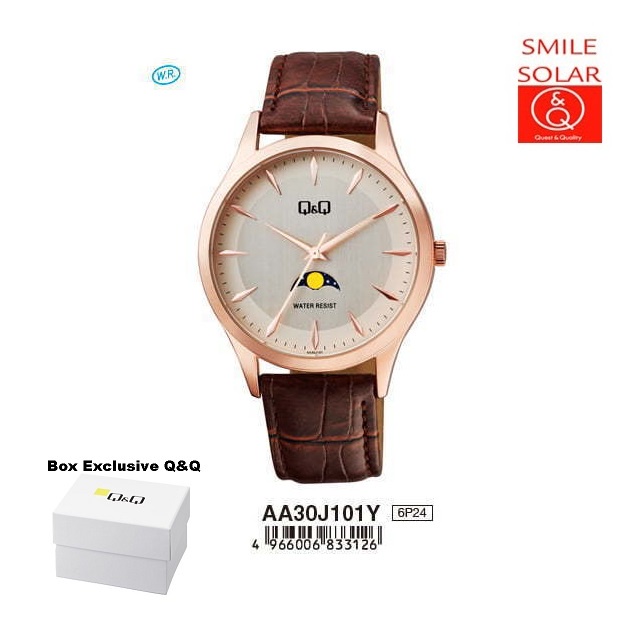 Jam Tangan Pria Classic Casual Kulit Leather Original Q&amp;Q QnQ QQ AA30 AA30J Series