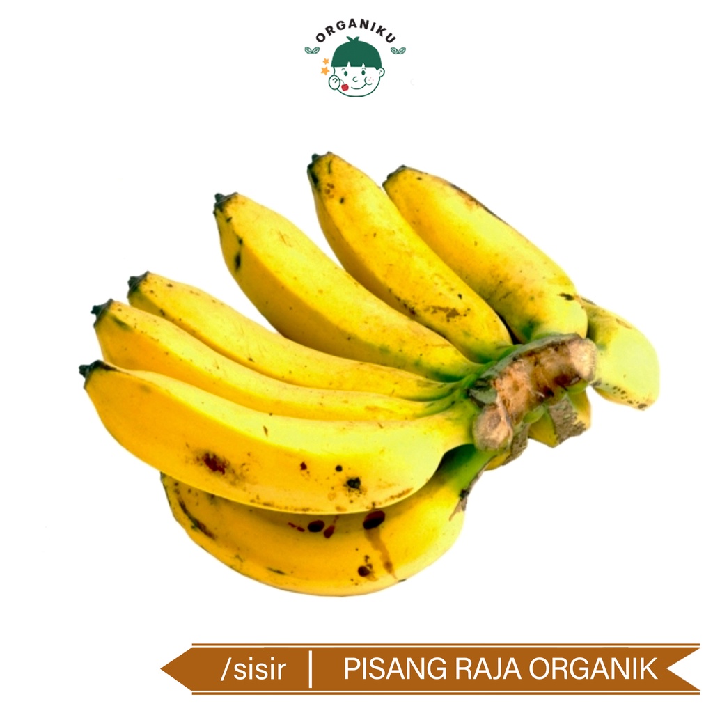 Pisang Raja Organik per Sisir