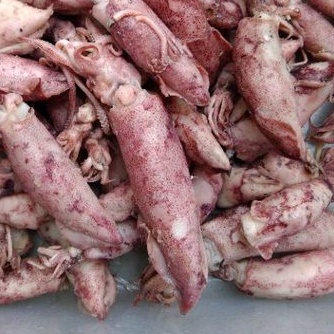 

250 gram kualitas SUPER Cumi Telor Asin cumi telor Cumi Asin cumi telor asin di rebus