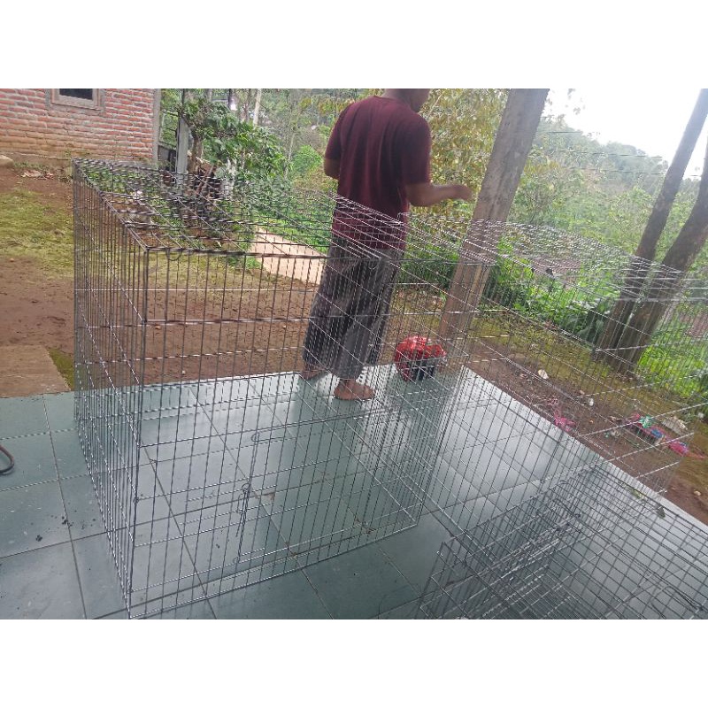 TENGGARAN AYAM KANDANG GALVANIS KANDANG AYAM KANDANG KUCING