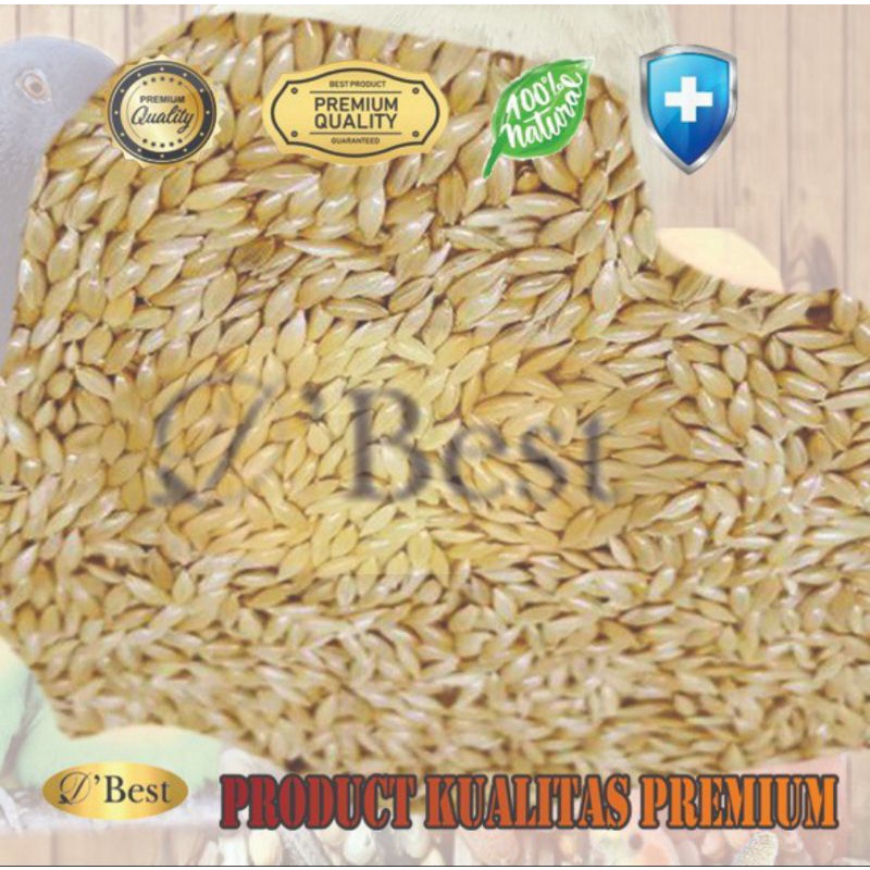 KENARI SEED CANARY SEED PAKAN MAKANAN BURUNG KENARI CANARY IMPORT BEST