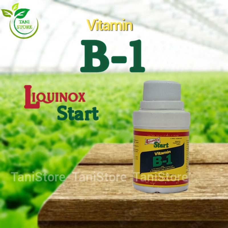 Pupuk Vitamin B1 Liquinox 100 ml