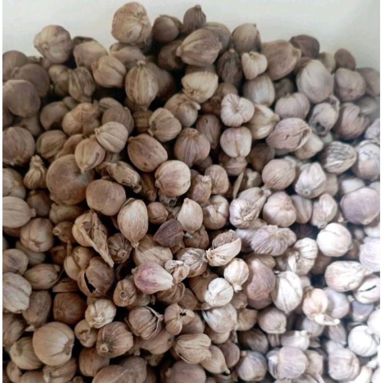 

Kapulaga Kapol Kering 1 kg