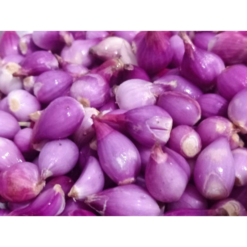 

Bawang Merah Brebes 1kg