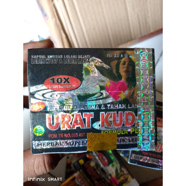 urat kuda original