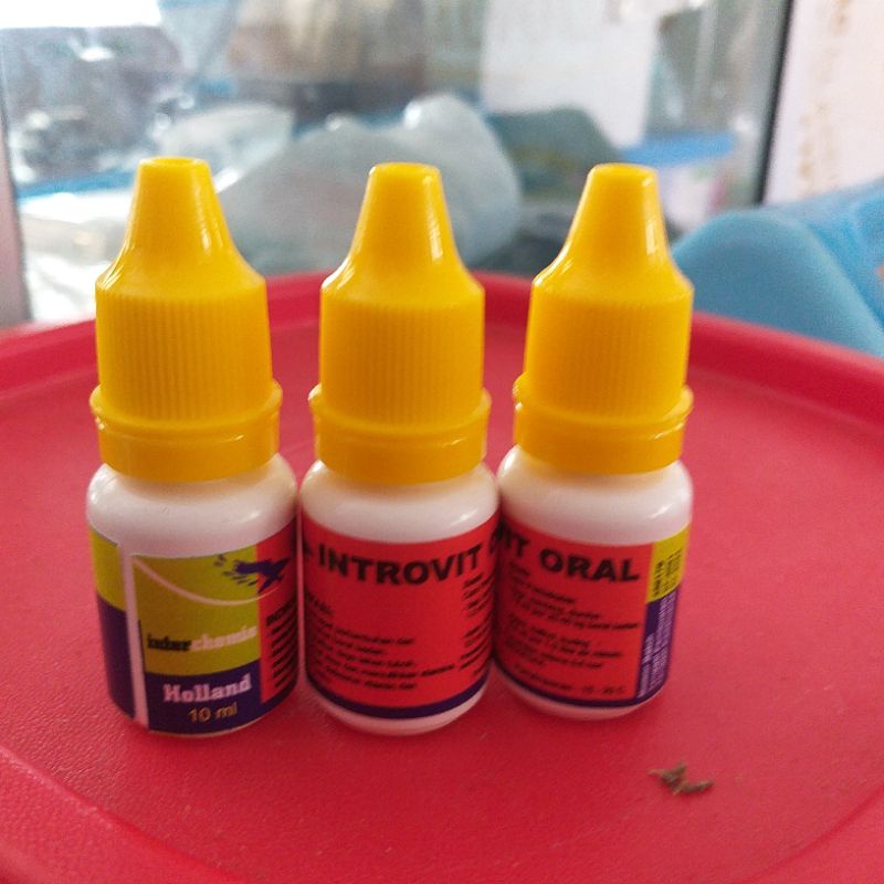 Introvit Oral 10 ml Multivitamin dan asam amino ayam, burung, kelinci