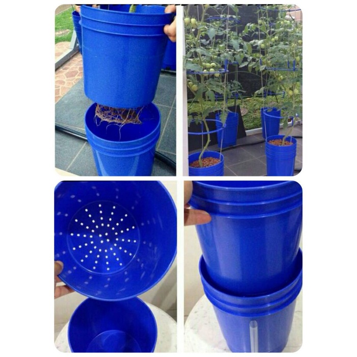 Blue Bucket utk System Ducth Bucket, Ebb & Flow, Hidroponik Buah